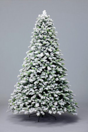 Ель Амурская (иней)