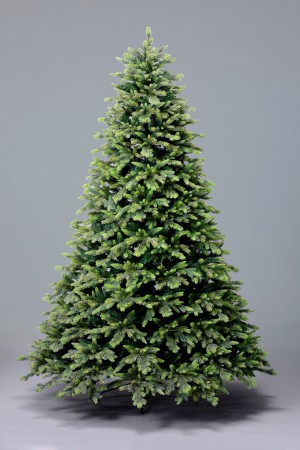 Ель Столичная