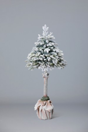 Ель Кремлевская в горшке (иней)