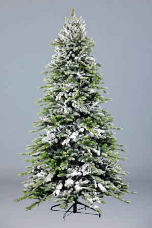 Ель Байкальская (снег)