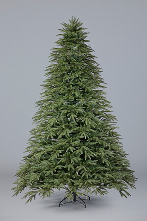 Ель Уральская