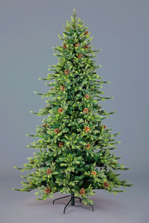 Ель Эльбрусская 2