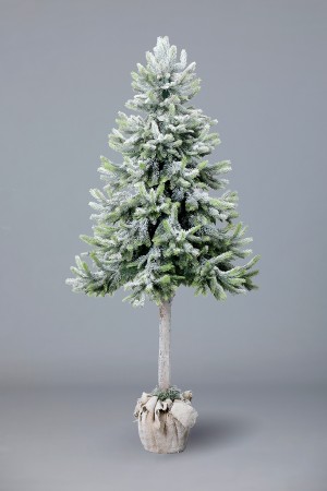 Ель Ноэль в горшке (иней)