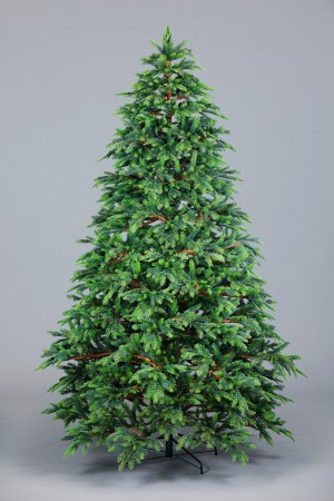 Ель Императорская