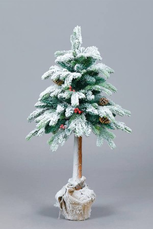 Ель Гавайская в горшке (снег)